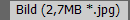 Bild (2,7MB *.jpg)